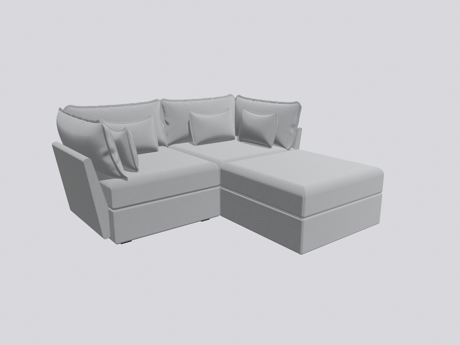 2 Seater Sofa and Ottoman Module